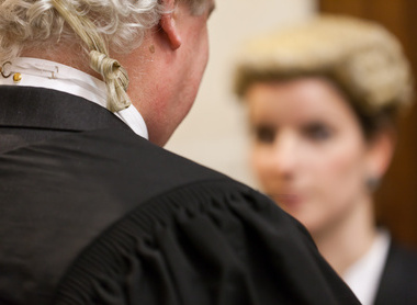 Professional Legal Consultation